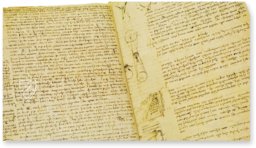 Codex Hammer – Collezione Apocrifa Da Vinci – Bill Gates Collection (Seattle, USA)