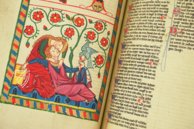 Codex Manesse â Insel Verlag â Cod. Pal. germ. 848 â UniversitĂ€tsbibliothek Heidelberg (Heidelberg, Deutschland) Codex Manesse â Insel Verlag â Cod. Pal. germ. 848 â UniversitĂ€tsbibliothek Heidelberg (Heidelberg, Deutschland)