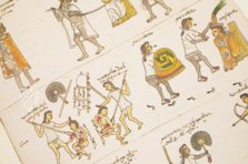 Codex Mendoza – University of California Press – MS. Arch. Selden. A. 1 – Bodleian Library (Oxford, Vereinigtes Königreich)