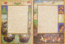 Codex Sforza – Nova Charta – Varia 75 – Biblioteca Reale di Torino (Turin, Italien)