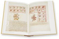 Codex Vaticanus A (3738) – Akademische Druck- u. Verlagsanstalt (ADEVA) – Codex Vatic. Lat. 3738 – Biblioteca Apostolica Vaticana (Vatikanstadt, Vatikanstadt)