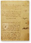 Codex vom Flug der Vögel – Biblioteca Reale di Torino (Turin, Italien) Faksimile