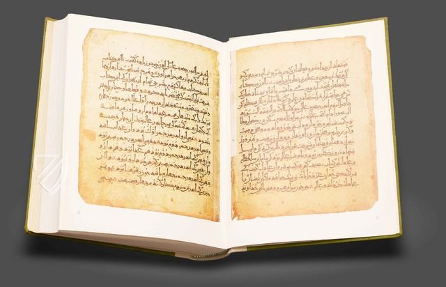Abu Mansur Muwaffak ibn Ali al-Harawi: Das Buch der Grundlagen über die wahre Beschaffenheit der Heilmittel Faksimile