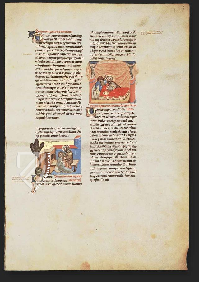Abu´l Qasim Halaf ibn Abbas al-Zahraui - Chirurgia