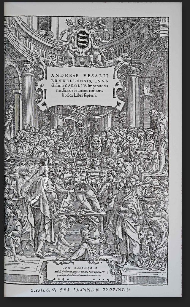 Andreas Vesalius: De Humani Corporis Fabrica – Pytheas Books – 548.i.2.(1) – British Library (London, Vereinigtes Königreich)