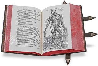 Andreas Vesalius: De Humani Corporis Fabrica – Pytheas Books – 548.i.2.(1) – British Library (London, Vereinigtes Königreich)