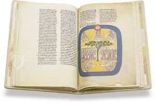 Beatus von Liébana - Codex San Pedro de Cardena Faksimile