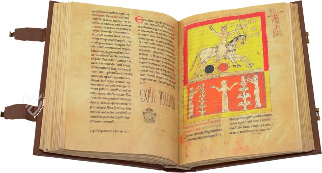 Beatus von Liébana - Codex von Lorvao – Cod. 160 – Arquivo Nacional da Torre do Tombo (Lisabon, Portugal)