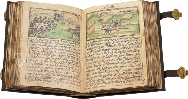 Bestiarium von Juan d'Austria – Monasterio de Santa Maria de la Vid (Burgos, Spanien)