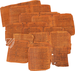 Papyrus Bodmer VIII - Beati Petri Apostoli Epistulae – Testimonio Compañía Editorial – Ex Papyro Bodmeriana VIII Transcriptae P72 – Biblioteca Apostolica Vaticana (Vatikanstadt, Vatikanstadt)