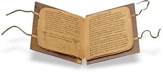 Papyrus Bodmer VIII - Beati Petri Apostoli Epistulae Faksimile