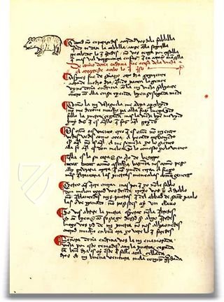 Buch der guten Liebe – Edilan – ms. 2663 – Universidad de Salamanca (Salamanca, Spanien)