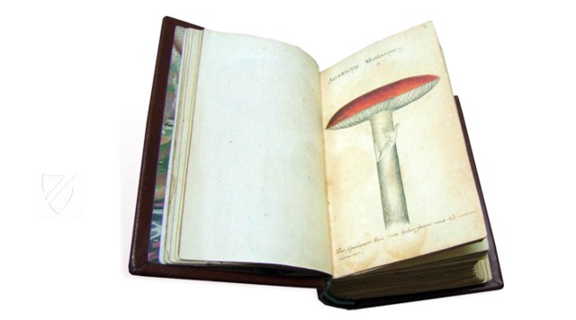 Buch der Pilze – Siloé, arte y bibliofilia – Privatsammlung Buch der Pilze – Siloé, arte y bibliofilia – Privatsammlung