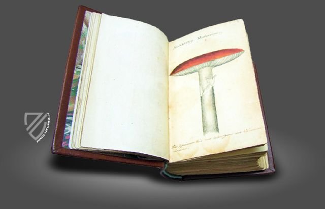 Buch der Pilze – Siloé, arte y bibliofilia – Privatsammlung