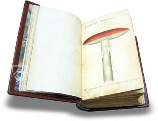 Buch der Pilze – Siloé, arte y bibliofilia – Privatsammlung