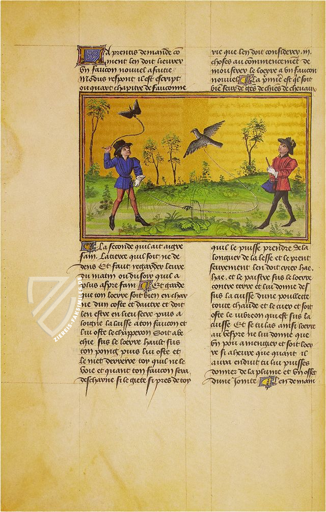 Jagdbuch des Königs Modus
