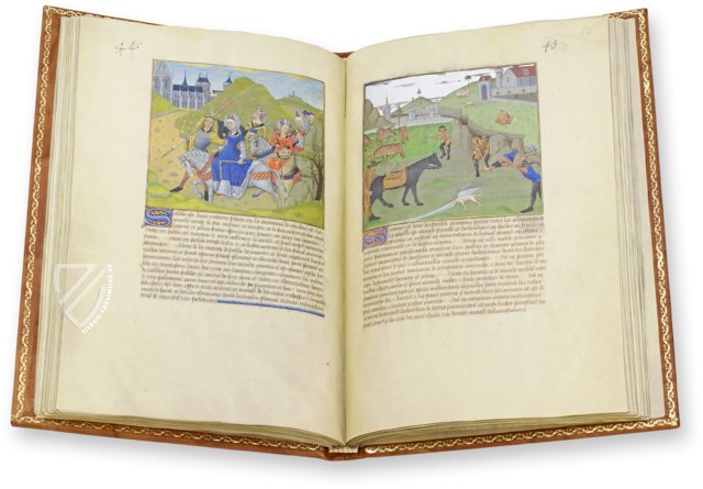 Das Buch der Wunder der Natur – Français 22971 – Bibliothèque nationale de France (Paris, Frankreich)