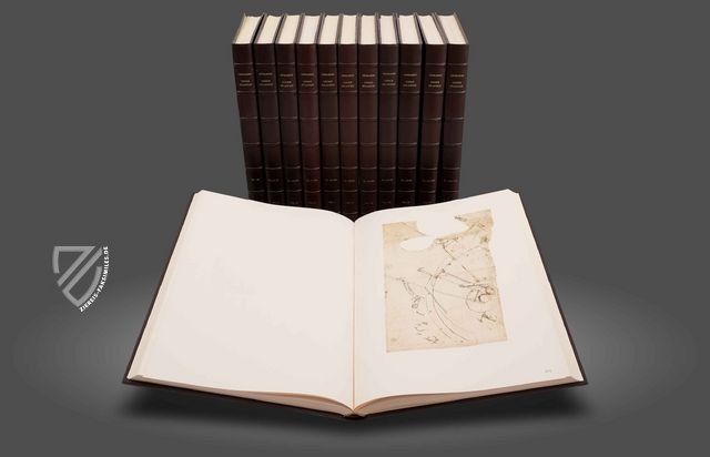 Codex Atlanticus Faksimile