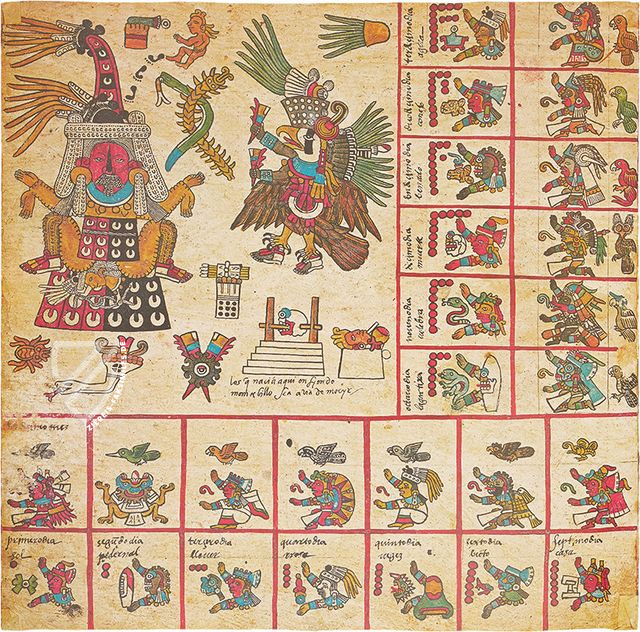 Codex Borbonicus