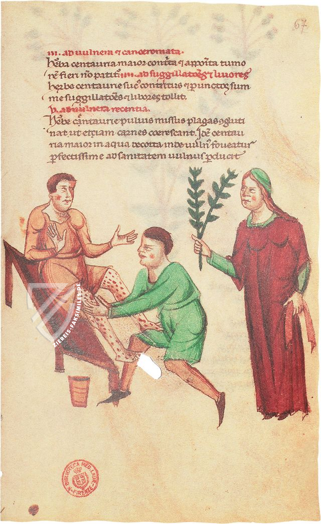 Medikamenten-Lehre Friedrichs II. – Patrimonio Ediciones – Ms. Plut. 73.16 – Biblioteca Medicea Laurenziana (Florenz, Italien)