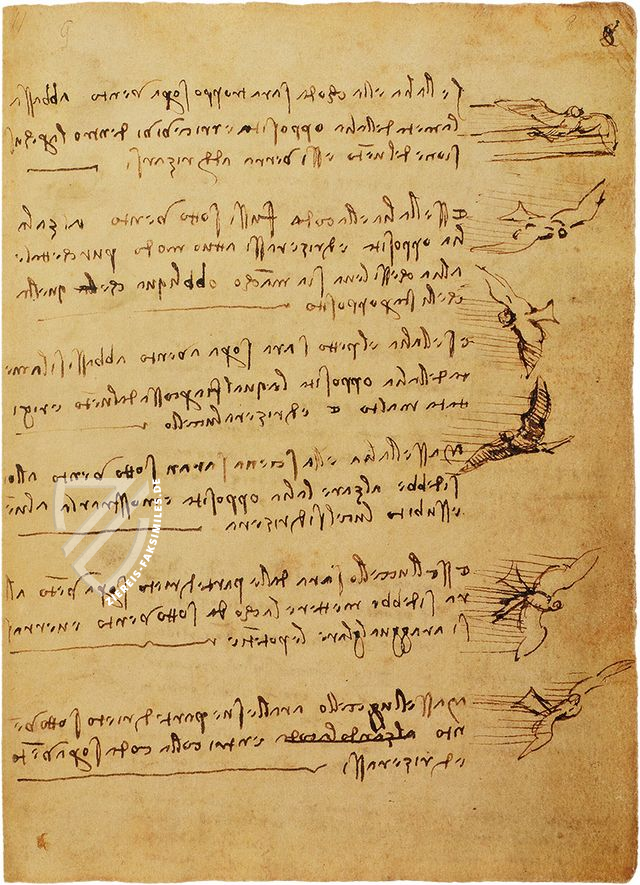 Leonardo da Vinci: Codex vom Flug der Vögel – Collezione Apocrifa Da Vinci – Biblioteca Reale di Torino (Turin, Italien)