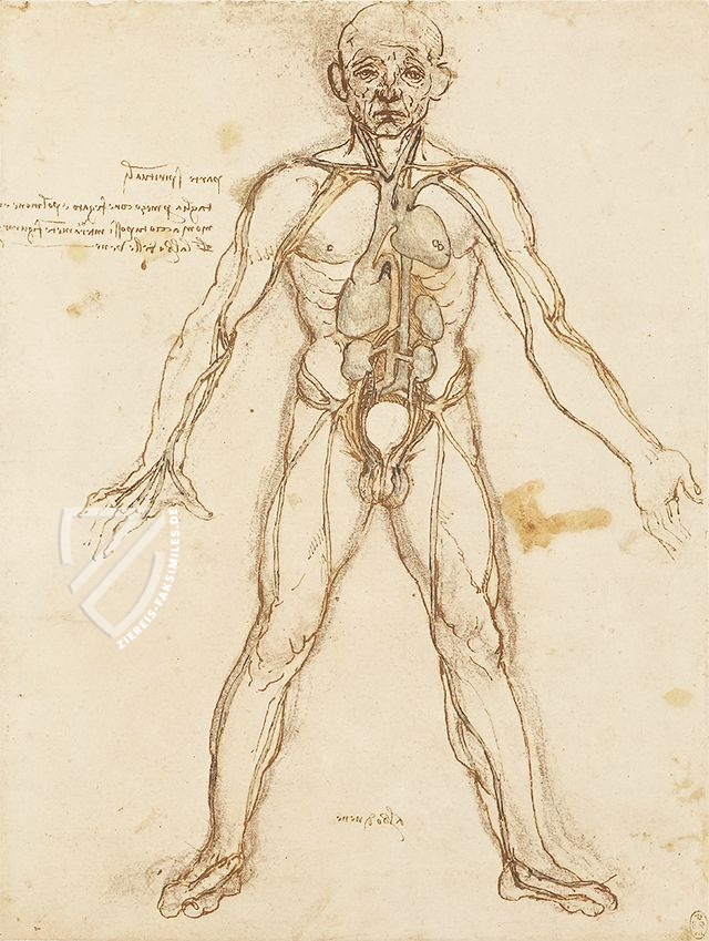 Il Corpus degli Studi Anatomici