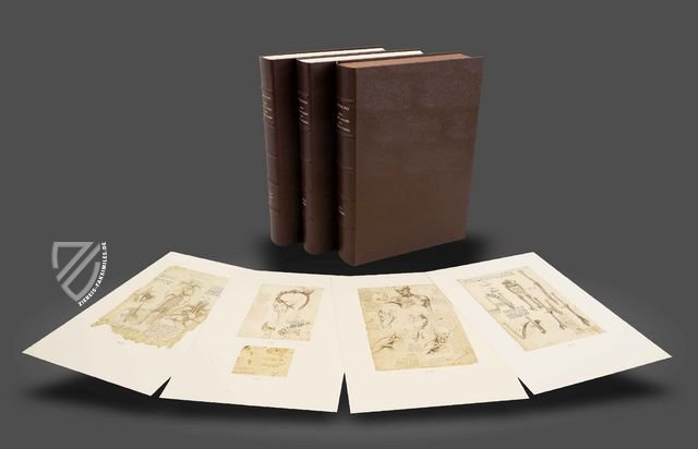 Leonardo da Vinci - Anatomische Studien – Giunti Editore – Royal Library at Windsor Castle (Windsor, Vereinigtes Königreich)