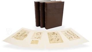 Leonardo da Vinci - Anatomische Studien – Giunti Editore – Royal Library at Windsor Castle (Windsor, Vereinigtes Königreich)