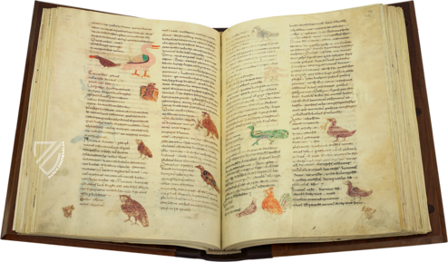 Hrabanus Maurus: De universo oder De rerum naturis – Priuli & Verlucca, editori – Cod. Casin. 132 – Archivio dell'Abbazia di Montecassino (Montecassino, Italien)