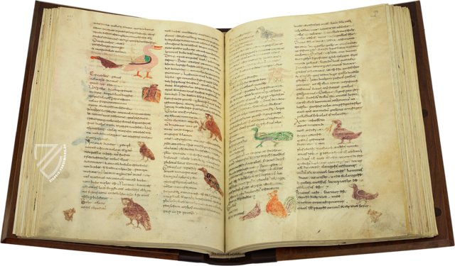 Hrabanus Maurus: De universo oder De rerum naturis – Cod. Casin. 132 – Archivio dell'Abbazia di Montecassino (Montecassino, Italien)