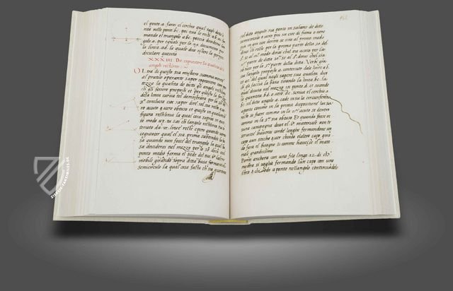 De Viribus Quantitatis – Aboca Museum – Ms. 250 – Biblioteca Universitaria di Bologna (Bologna, Italien)