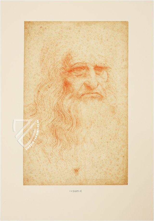 I disegni di Leonardo da Vinci e della sua cerchia - Biblioteca Reale di Torino