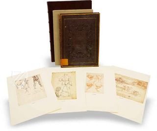 Zeichnungen von Leonardo da Vinci und seinem Umkreis - Biblioteca Reale in Turin Faksimile