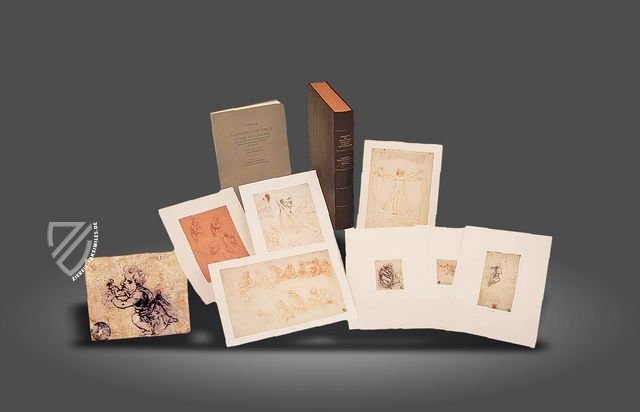 Zeichnungen von Leonardo da Vinci und seinem Umkreis - Gallerie dell’Accademia in Venedig – Giunti Editore – Gallerie dell'Accademia di Venezia / Gabinetto Disegni e Stampe (Venedig, Italien)