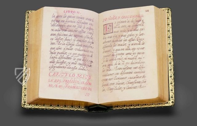 El Buscón (Manuscript B) – Millennium Liber – Inv. 15513 – Museo de la Fundación Lázaro Galdiano (Madrid, Spanien)