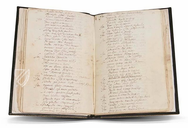 El Secreto a Voces - La Desdicha de la Voz – Res. 117 – Biblioteca Nacional de España (Madrid, Spanien)