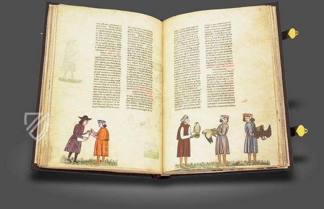 Falkenbuch Kaiser Friedrichs II. – Testimonio Compañía Editorial – Pal. Lat. 1071 – Biblioteca Apostolica Vaticana (Vatikanstadt, Vatikanstadt)