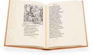 Kaiser Maximilian der I. - Die Abenteuer des Ritters Theuerdank – Müller & Schindler – Württembergische Landesbibliothek (Stuttgart, Deutschland)