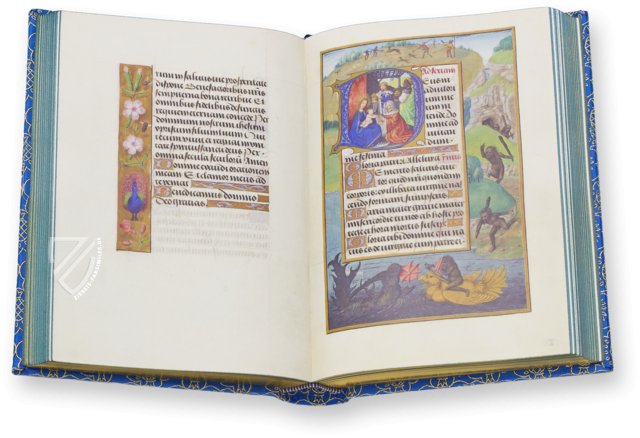 Fitzwilliam-Stundenbuch – MS 1058-1975 – Fitzwilliam Museum (Cambridge, Großbritannien)