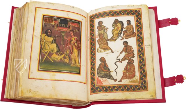 Dioscurides graeco-latinus – Chig. F.VII.1590 – Biblioteca Apostolica Vaticana (Vaticanstadt, Vaticanstadt)