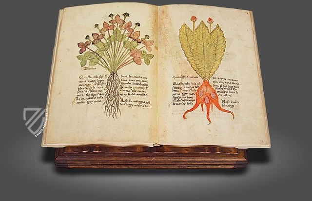 Herbarium von Trento – Priuli & Verlucca, editori – Castello del Buonconsiglio (Trento, Italien)