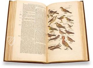 Historia Naturalis: De Avibus Faksimile