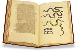 Historia Naturalis: De Exanguibus Acuaticis et Serpentibus
