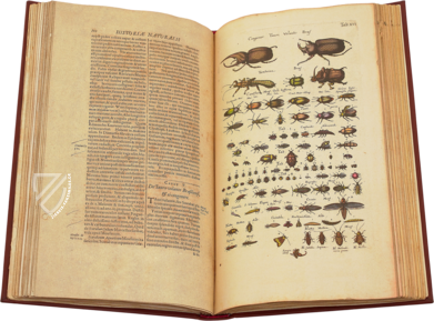 Historia Naturalis: De Insectis – Siloé, arte y bibliofilia – Privatsammlung