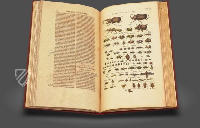 Historia Naturalis: De Insectis Faksimile