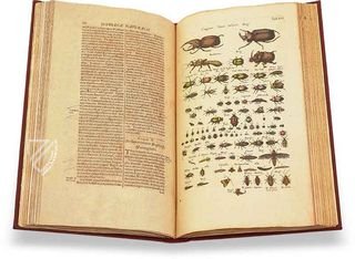 Historia Naturalis: De Insectis Faksimile