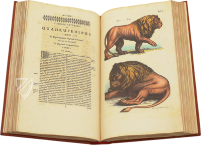 Historia Naturalis: De Quadrupedibus – Siloé, arte y bibliofilia – Privatsammlung