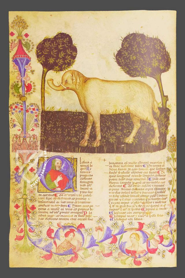 Historia Plantarum