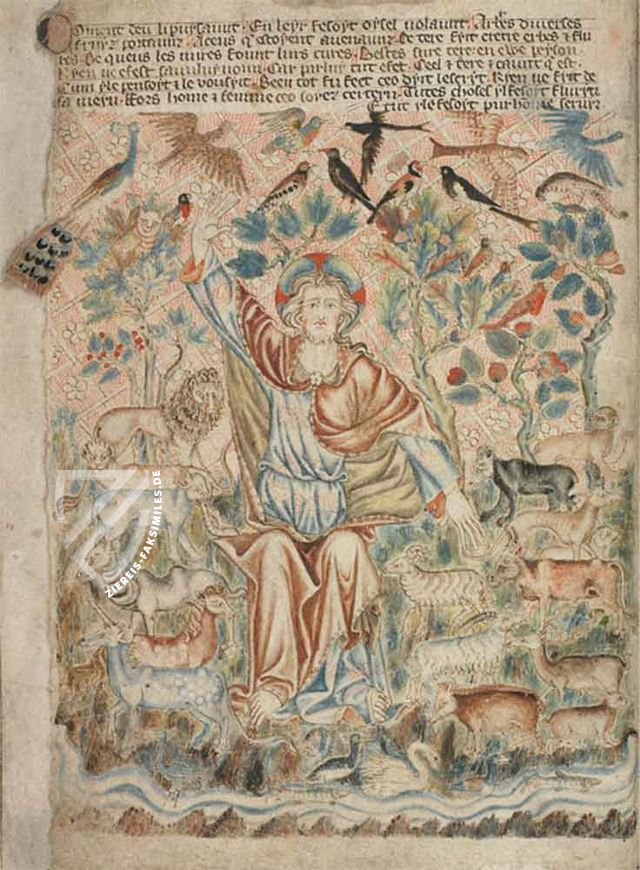 Holkham Bible