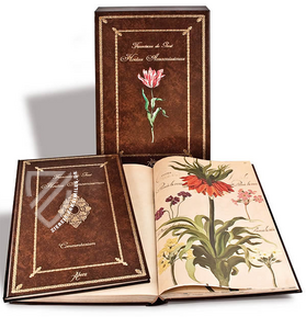 Hortus amoenissimus... von Franciscus de Geest – Aboca Museum – Varia 291 – Biblioteca Nazionale Centrale di Roma (Rom, Italien)